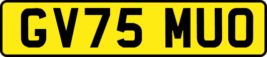 GV75MUO