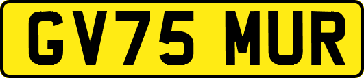 GV75MUR