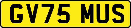 GV75MUS