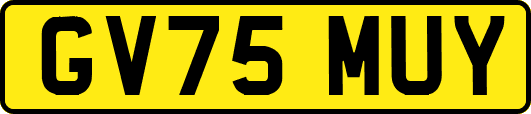 GV75MUY