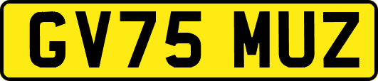 GV75MUZ