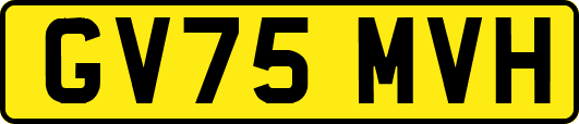 GV75MVH