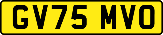 GV75MVO