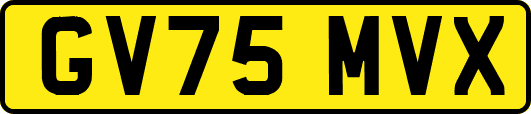 GV75MVX