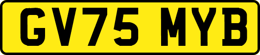 GV75MYB