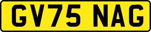GV75NAG