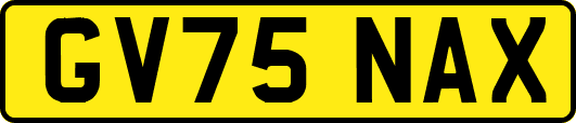 GV75NAX