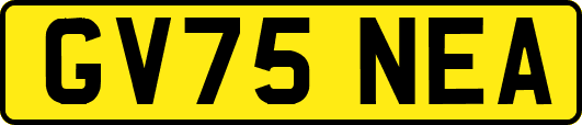 GV75NEA