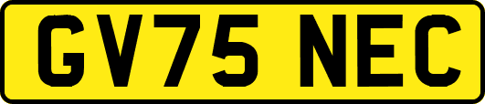 GV75NEC