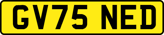 GV75NED