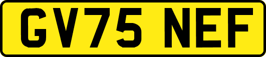 GV75NEF