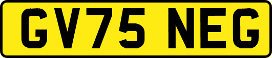 GV75NEG