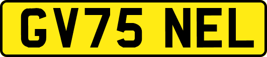 GV75NEL