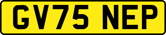 GV75NEP