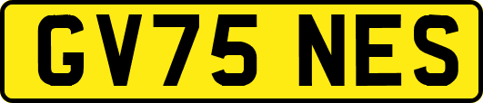 GV75NES