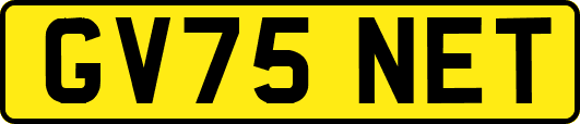 GV75NET