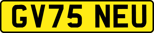 GV75NEU