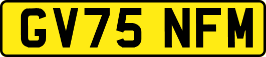GV75NFM