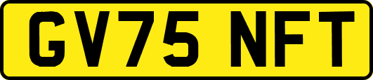 GV75NFT