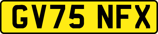 GV75NFX