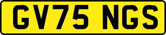 GV75NGS