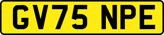 GV75NPE