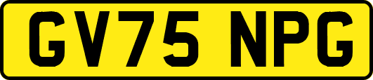 GV75NPG