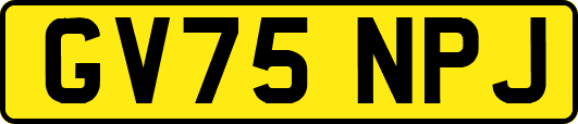 GV75NPJ