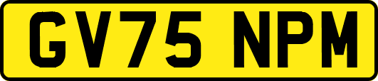 GV75NPM