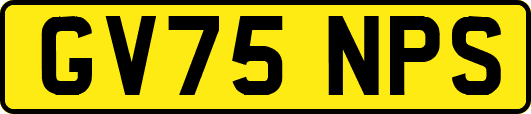 GV75NPS