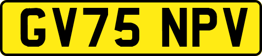 GV75NPV