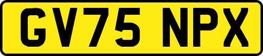 GV75NPX