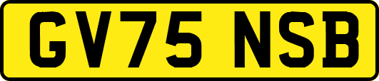GV75NSB