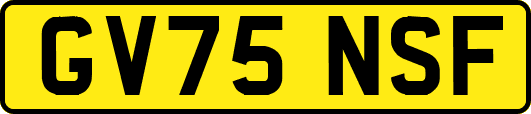 GV75NSF