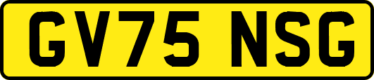 GV75NSG
