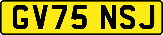 GV75NSJ