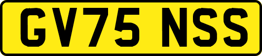 GV75NSS