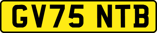 GV75NTB