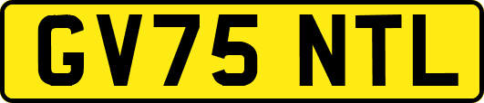 GV75NTL