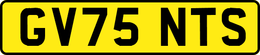 GV75NTS