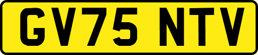 GV75NTV