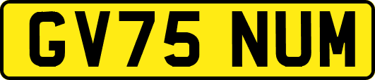 GV75NUM
