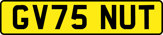GV75NUT