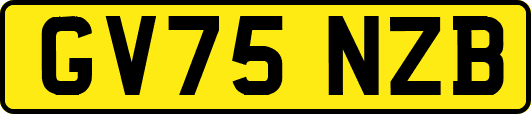 GV75NZB