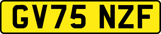 GV75NZF