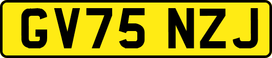 GV75NZJ