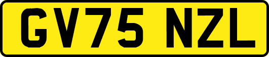 GV75NZL