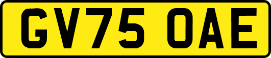 GV75OAE