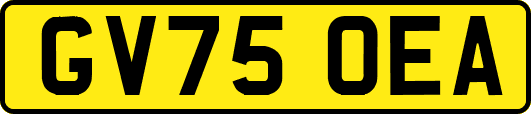 GV75OEA