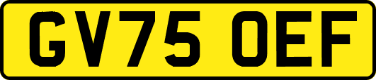GV75OEF